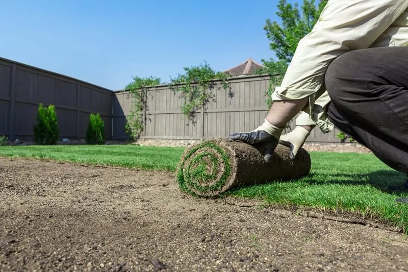 Lawn Installation