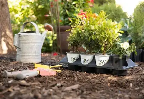 Plant Selection
