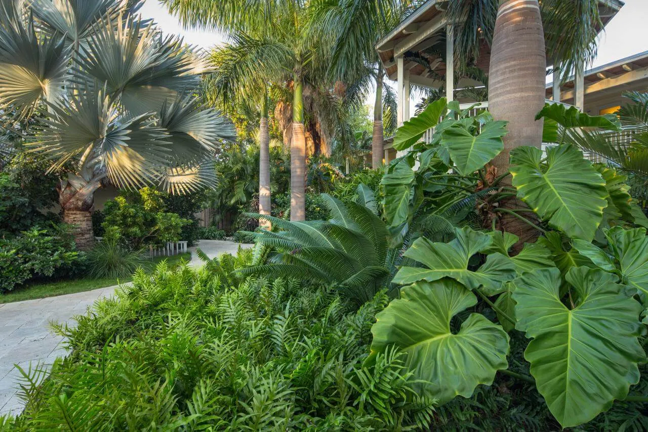Tropical Paradise